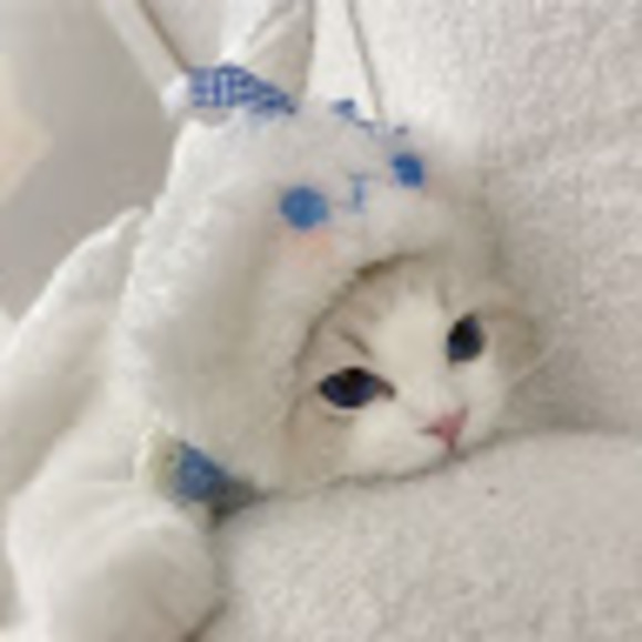 Meet your Posher, Shahd - Picture 1 of 1